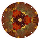 Caleidoleaves