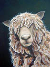 Curious Dolly 