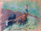 Plowing with Oxen