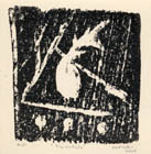 The Witch 