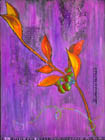Crabapple